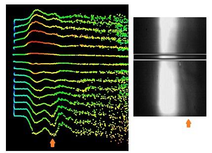 absorption-graphic2.jpg