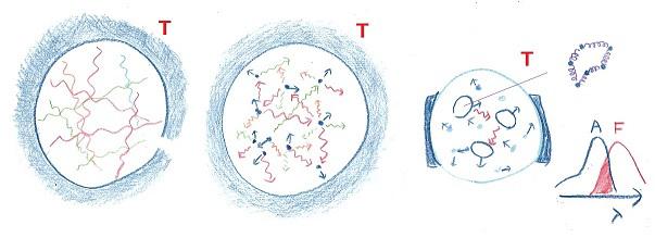 microcavity.jpg